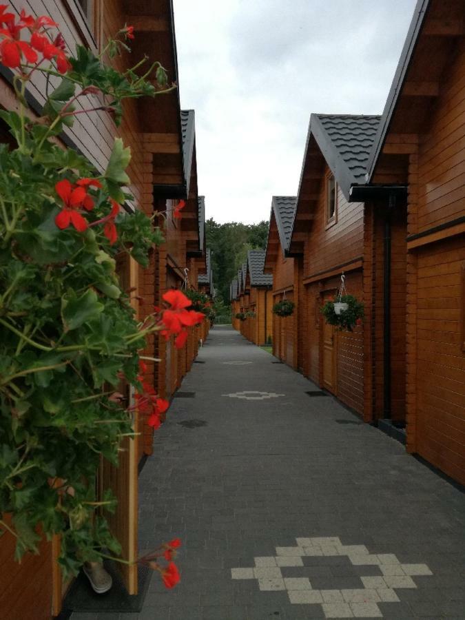 Sloneczny Brzeg Hotel Миеленко Екстериор снимка